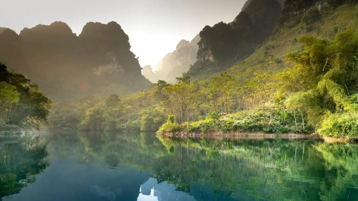 智能数字化智能系统